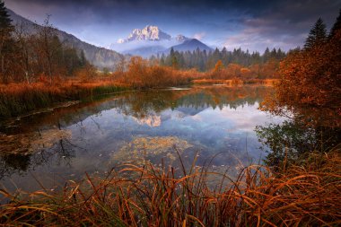 Zelenci Gölü doğal rezerv, Kranjska Gora, Slovenya. Sisli Triglav Alpler ile orman, doğada seyahat. Mavi gökyüzü, yeşil doğa ile güzel gündoğumu. Manzara Slovenya, Avrupa'nın doğa. 