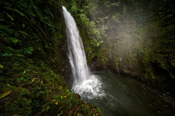 Beyaz dereli bir nehir, yağmurlu bir gün, ulusal parktaki yeşil bitki örtüsü. La Paz Şelale Bahçeleri, yeşil tropikal ormanlar, Central Valley, Kosta Rika.