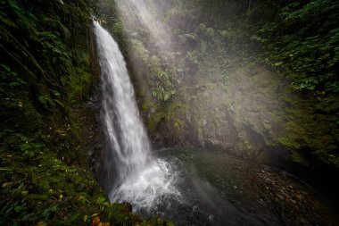 Kosta Rika tropik manzarası. Beyaz dereli bir nehir, yağmurlu bir gün, ulusal parktaki yeşil bitki örtüsü. La Paz Şelale Bahçeleri, yeşil tropikal ormanlar, Central Valley, Kosta Rika.