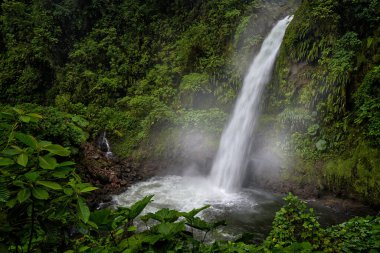 Tropik şelale. Beyaz dereli bir nehir, yağmurlu bir gün, ulusal parktaki yeşil bitki örtüsü. La Paz Şelale Bahçeleri, yeşil tropikal ormanlar, Central Valley, Kosta Rika. Şelalenin üzerindeki sis..   