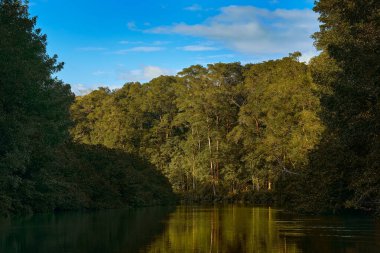 Costa Ricam river sunset. Rio Tarcoles, Carara National Park, Costa Rica. Sunset in beautiful tropical forest landscape. Meanders of river Tarcoles. Hills with orange evening sky. Holiday nature.