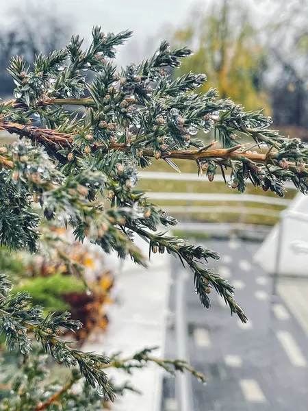 Doğanın güzel manzarası