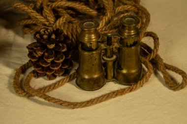 Çam kozalağı üreticilerinin çam kozalakları toplamak için kullandığı bitki örtüsü ve aletlerin incelenmesi.