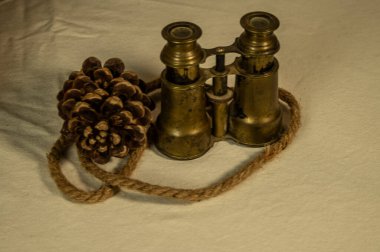 Çam kozalağı üreticilerinin çam kozalakları toplamak için kullandığı bitki örtüsü ve aletlerin incelenmesi.