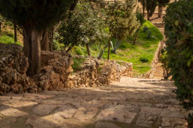 Staircase of stone construction and wooden railing surrounded by greenery and access to a park.