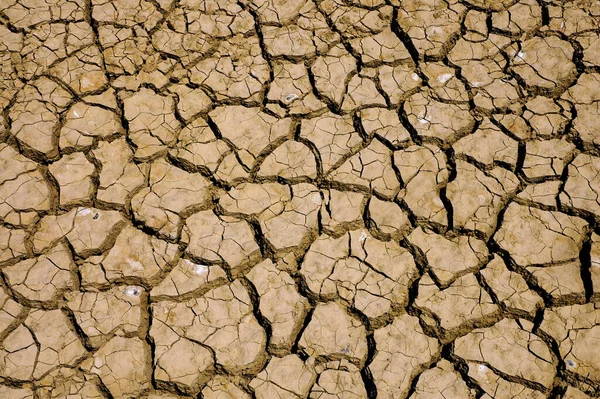 Cracked dry brown soil. Effects of global warming and drought on earth.