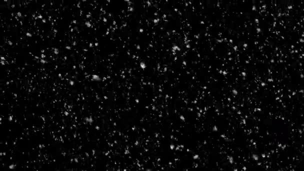 Light Snowfall Black Background Realistic Looking Snowfall Seamless Loop Able — Video Stock