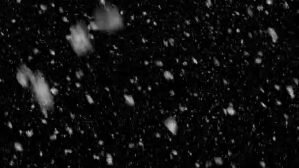 Snowfall Black Background Realistic Looking Snowfall Seamless Loop Able Animation — Video Stock
