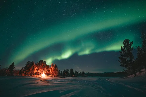 Yeşil orman arka planında Aurora Borealis
