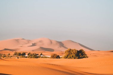 Çöldeki kumulların güzel manzarası, Merzouga, Fas 