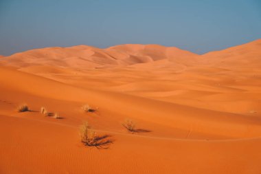 Kumullar, Sahara Çölü, Fas, Afrika, Merzouga 