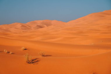 Kumullar, Sahara Çölü, Fas, Afrika, Merzouga 