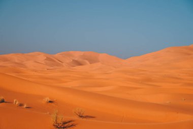 Kumullar, Sahara Çölü, Fas, Afrika, Merzouga 