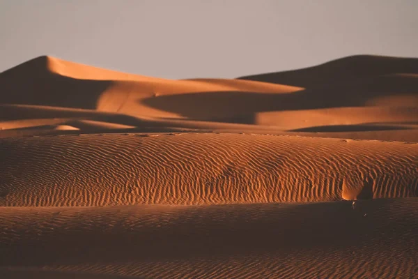 Hermosa Vista Las Dunas Desierto Merzouga Marruecos — Foto de Stock