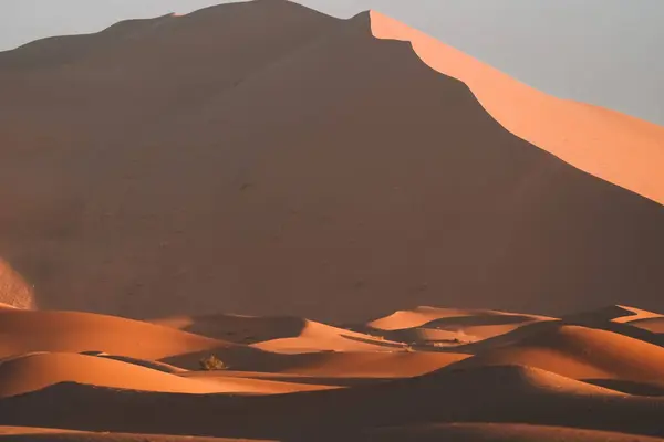 Çöldeki Kumulların Güzel Manzarası Merzouga Fas — Stok fotoğraf
