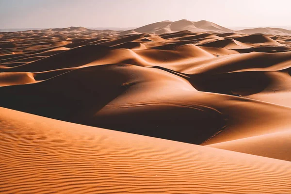 Dunes Sahara Desert Morocco Africa Merzouga — Stock Photo, Image