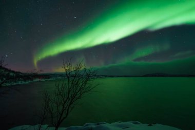 Kuzey ışıkları Kuzey Kutup Denizi üzerinde Norveç 'te