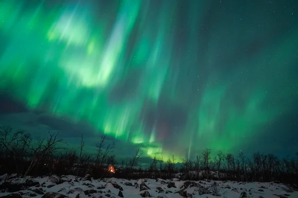 オーロラはノルウェーの北極の光の上にあり — ストック写真