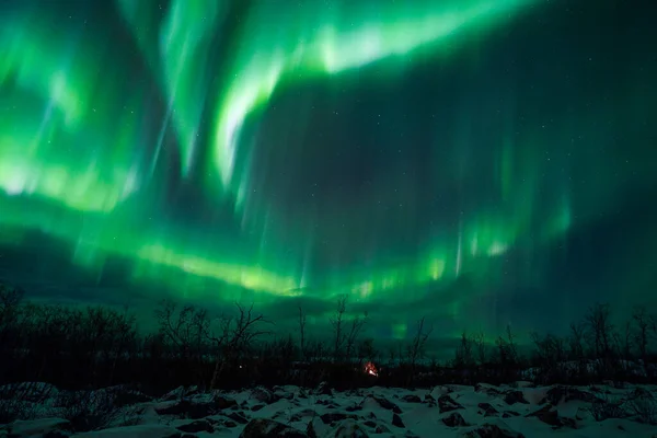 オーロラはノルウェーの北極の光の上にあり — ストック写真