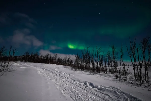 Yıldızlı ve karlı güzel gece gökyüzü
