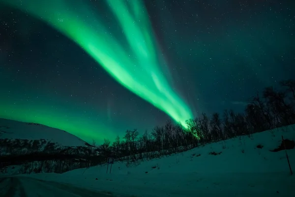 Norveç 'teki yeşil dağların üzerinde Aurora Borealis
