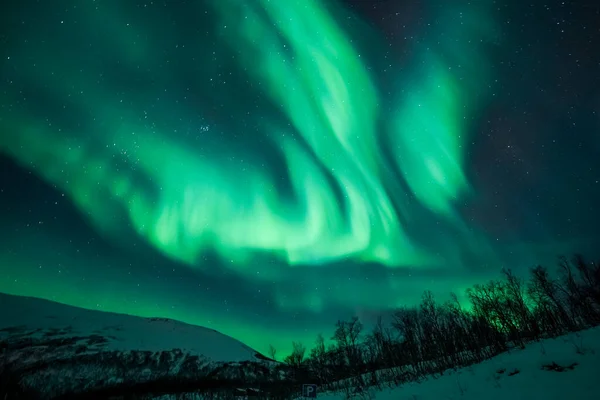 Norveç 'in kutup ışıkları üzerinde Aurora Borealis