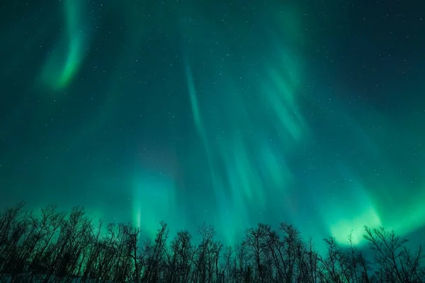 Aurora Borealis Geceleri yeşil dağların üzerinde