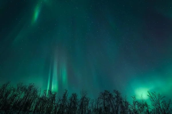 Gece gökyüzünde Aurora Borealis