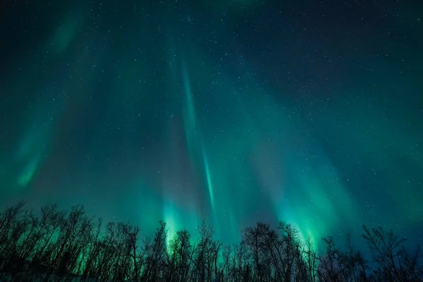 Aurora Borealis, Norveç, İskandinavya