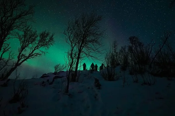 Gece yıldızlı gökyüzü Yıldızlı ve Samanyolu