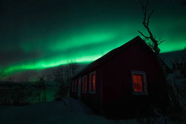 Yeşil çimenler ve karlı güzel kuzey Norveç manzarası
