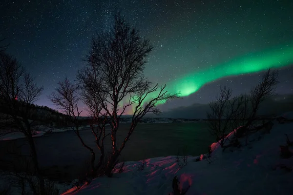 Yıldızlı ve karlı güzel gece gökyüzü