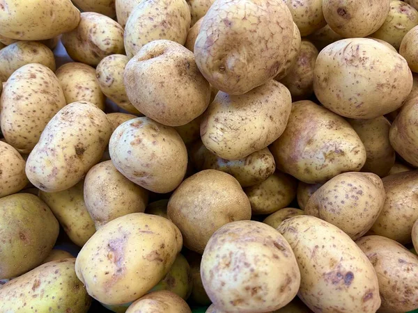 Group of Carbohydrate Substitute Food Called Potatoes or Kentang or Umbi Umbian