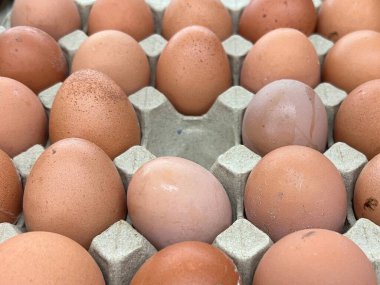 Pazarda taze yumurta.