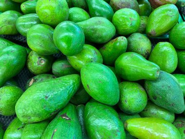 Canlı renklerini ve doğal güzelliklerini gözler önüne seren yeşil avokado yığını.
