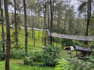 Uçsuz bucaksız, sakin bir ormanın ortasında büyüleyici bir köprü var. Arka planda ise rahat bir çadır var.