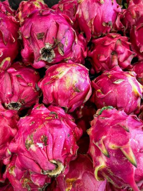 Canlı pembe derilerini sergileyen renkli taze ejderha meyveleri. Egzotik meyve severler ve sağlıklı beslenme meraklıları için mükemmel..