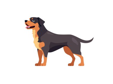 Mutlu Rottweiler, soyağacı köpeği, kenar görünümü, Beyaz Arkaplanda İzole İşaretli Düz Stil Vektör İllüstrasyon Sembolü