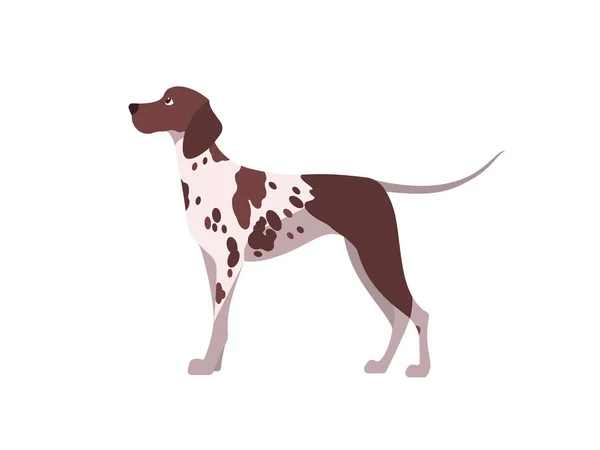 Γερμανική Shorthaid Δείκτη Γενεαλογικό Σκυλί Πλευρική Άποψη Icon Απομονωμένη Sign — Διανυσματικό Αρχείο