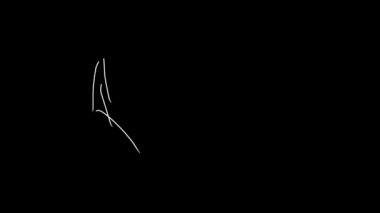 Kalp, siyah bir arkaplanda stop hareketinde belirir