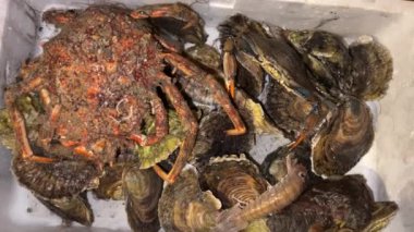 Crustacean and other marine fish live in the container