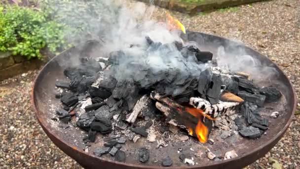 Ashes Burn Smoke Grilling — Video Stock