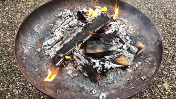 Burning Wood Barbecue Slow Motion — Stockvideo