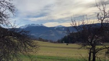 Dağlar kurak kış ağaçları arasında görülebilir.