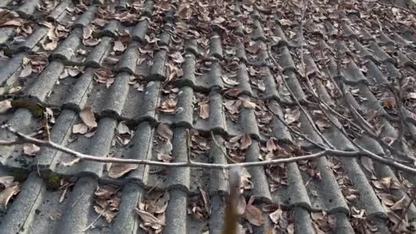 Dach Pokryty Starym Azbestem — Wideo stockowe