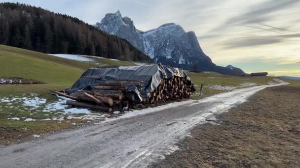 Logs Cut Mountain Road — Video