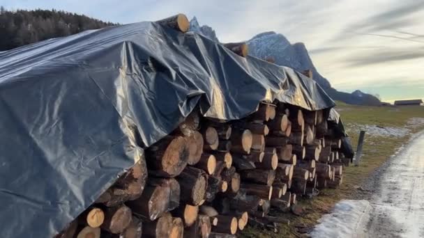 Logs Cut Covered Ready Heat House — Video
