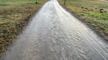Kışın Alplerde karsız dağın güzel manzarası