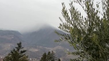 Dağ, kara bulutla kaplı yeşil çalılıktan görülebilir.