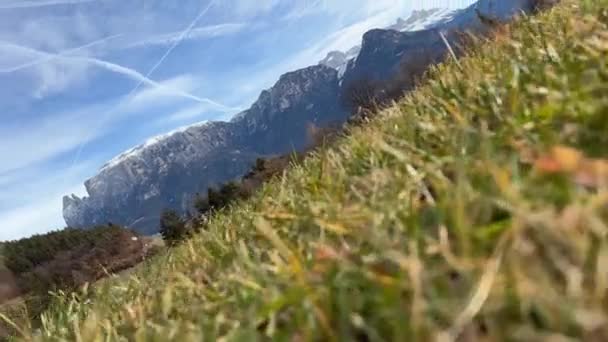 Erba Verde Cresce Inverno Fronte Alle Alte Montagne Delle Alpi — Video Stock